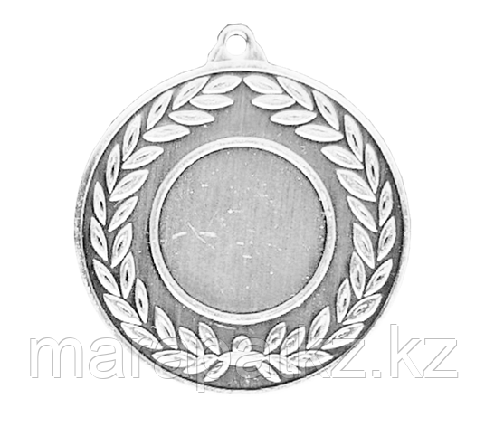 Медаль 2010 Серебро, фото 2