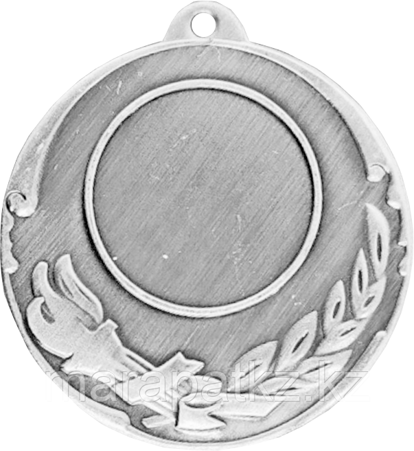 Медаль 2011 Серебро