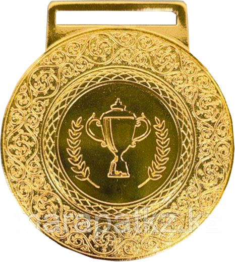 Медаль 2004 Золото