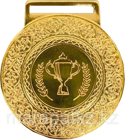 Медаль 2004 Золото, фото 2