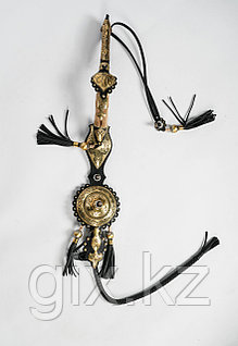 Жалаңаш Леся Самаева