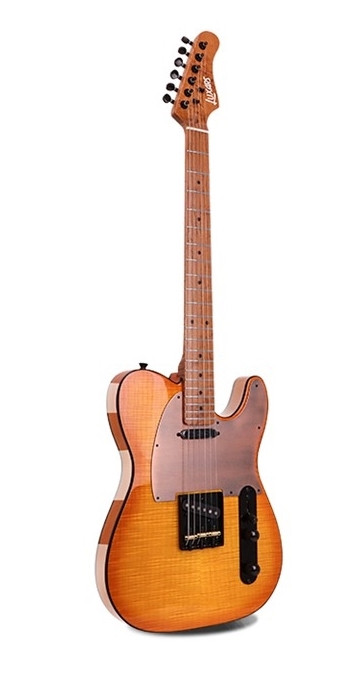 Электрогитара Luxars Telecaster S-G27 HB