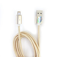 Magnetic cable V-T iPhone