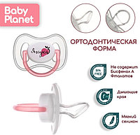 СИЛИКОНОВЫЕ СОСКИ-ПУСТЫШКИ 3+ (2 шт) Зайка/Ягодка