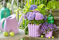 Кашпо круглое 30x27см, сиреневое LANDHAUS EMSA 513068, шт