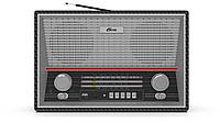 Ritmix RPR-102 buk портативті радиоқабылдағышы