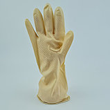 Резиновые перчатки "Пальма", оригинал, размер L, М, фото 2