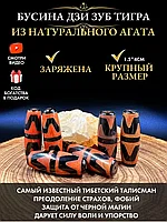 Бусина Дзи Зуб Тигра, амулет от сглаза