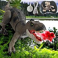 Rs063 Динозавр на радио управлении: движение,свет, звук (выпускает пар) 37*21см, фото 6
