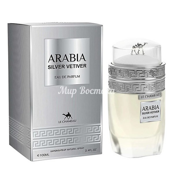 Парфюмерная вода Arabia Silver Vetiver от Le Chameau (схож с Grey Vetiver от Tom Ford, 100 мл) - фото 1 - id-p114380752