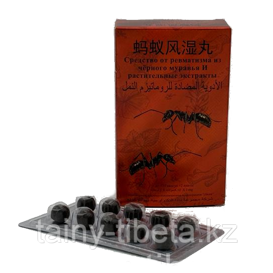 Средство от ревматизма из черного муравья и растительных экстрактов