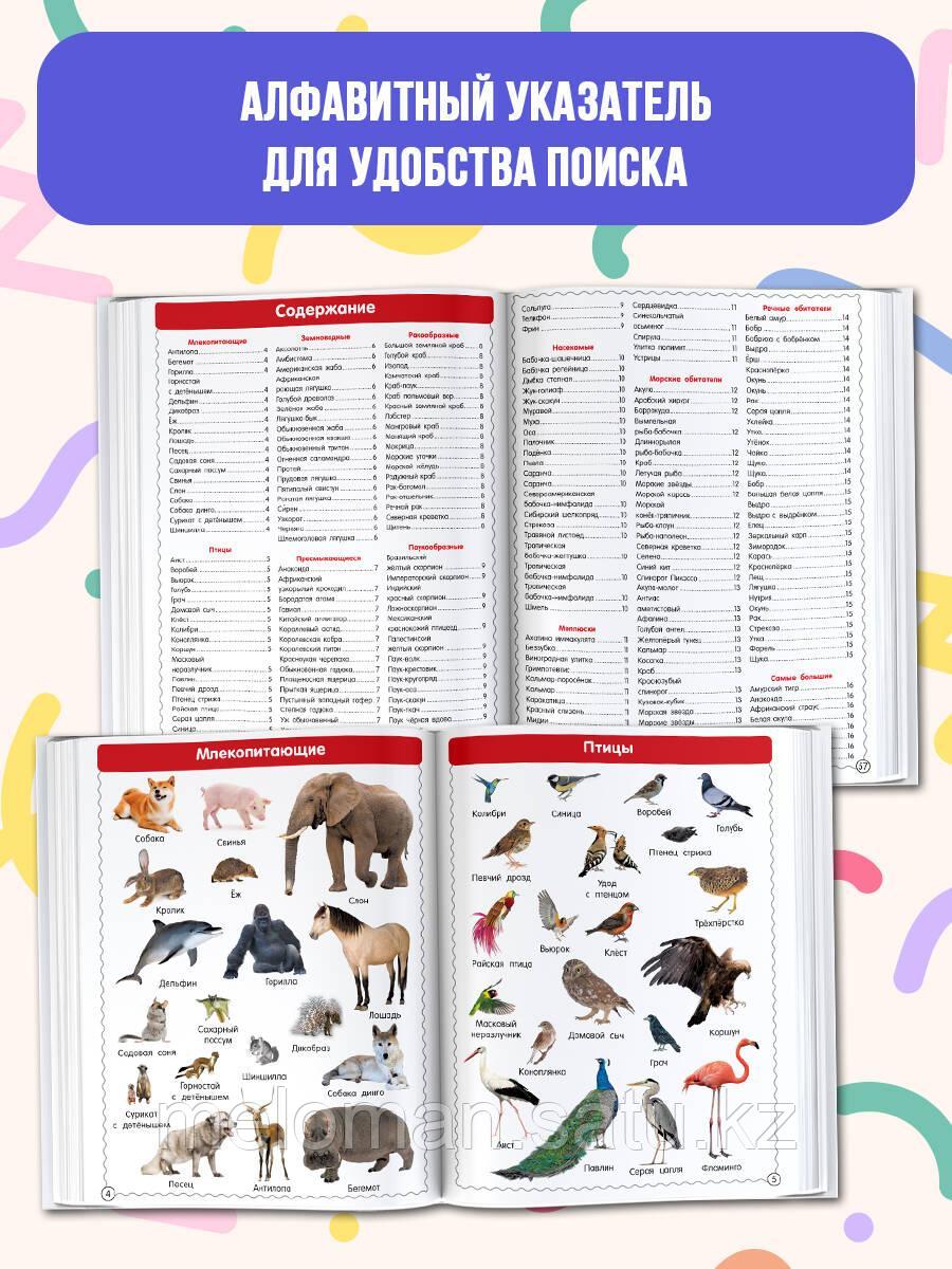 Дмитриева В. Г.: Первая иллюстрированная энциклопедия для детей