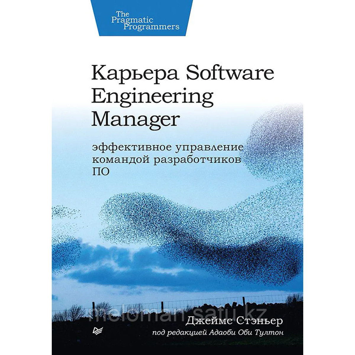 Стэньер Д.: Карьера Software Engineering Manager. Эффективное управление командой разработчиков ПО - фото 1 - id-p113870219