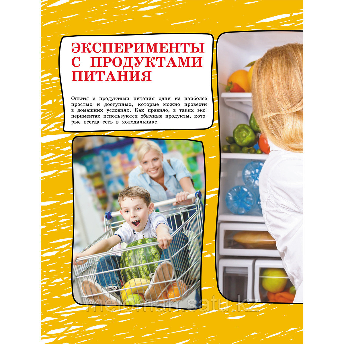 Вайткене Л. Д.: Большая книга опытов и экспериментов для детей и взрослых - фото 4 - id-p113872084
