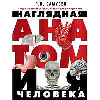 Самусев Р. П.: Наглядная анатомия человека. Подробный атлас с иллюстрациями