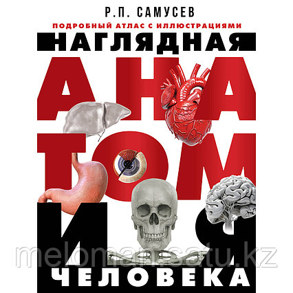 Самусев Р. П.: Наглядная анатомия человека. Подробный атлас с иллюстрациями