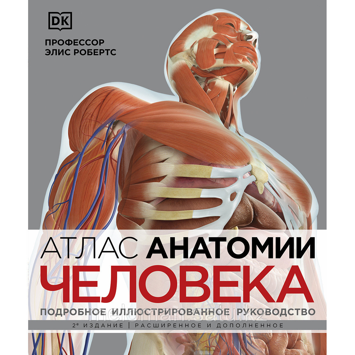 Робертс Э.: Атлас анатомии человека. Подробное иллюстрированное руководство - фото 1 - id-p113869583