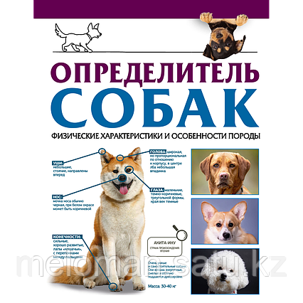 Барановская И. Г.: Определитель собак. Физические характеристики и особеннности породы