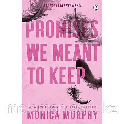 Murphy M. E.: Promises We Meant To Keep