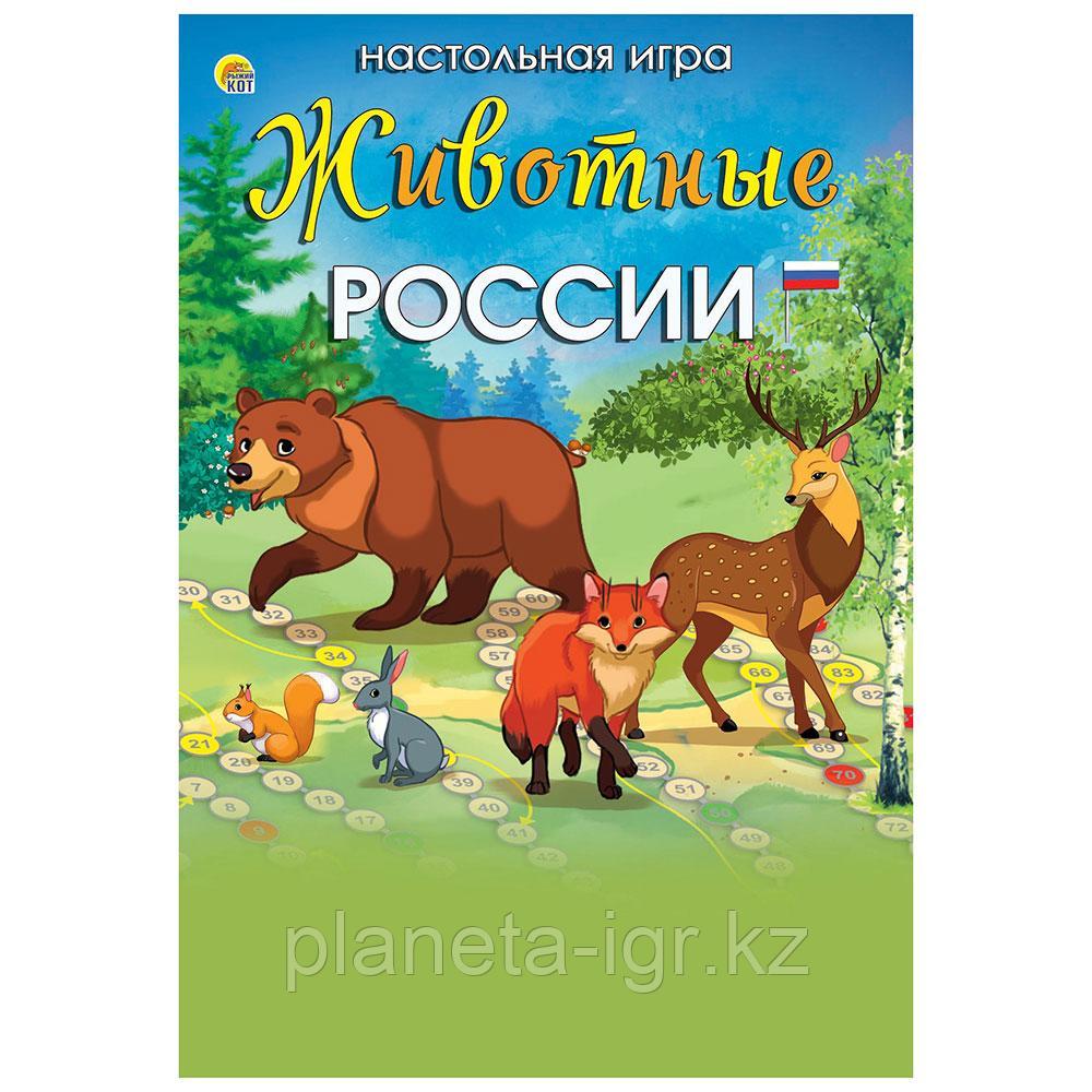 Игра-ходилка: Животные России | Рыжий Кот
