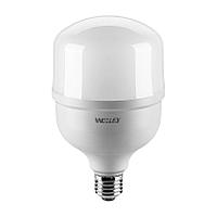 Лампа LED WOLTA 25WHP30E27/40 6500K переходник E40
