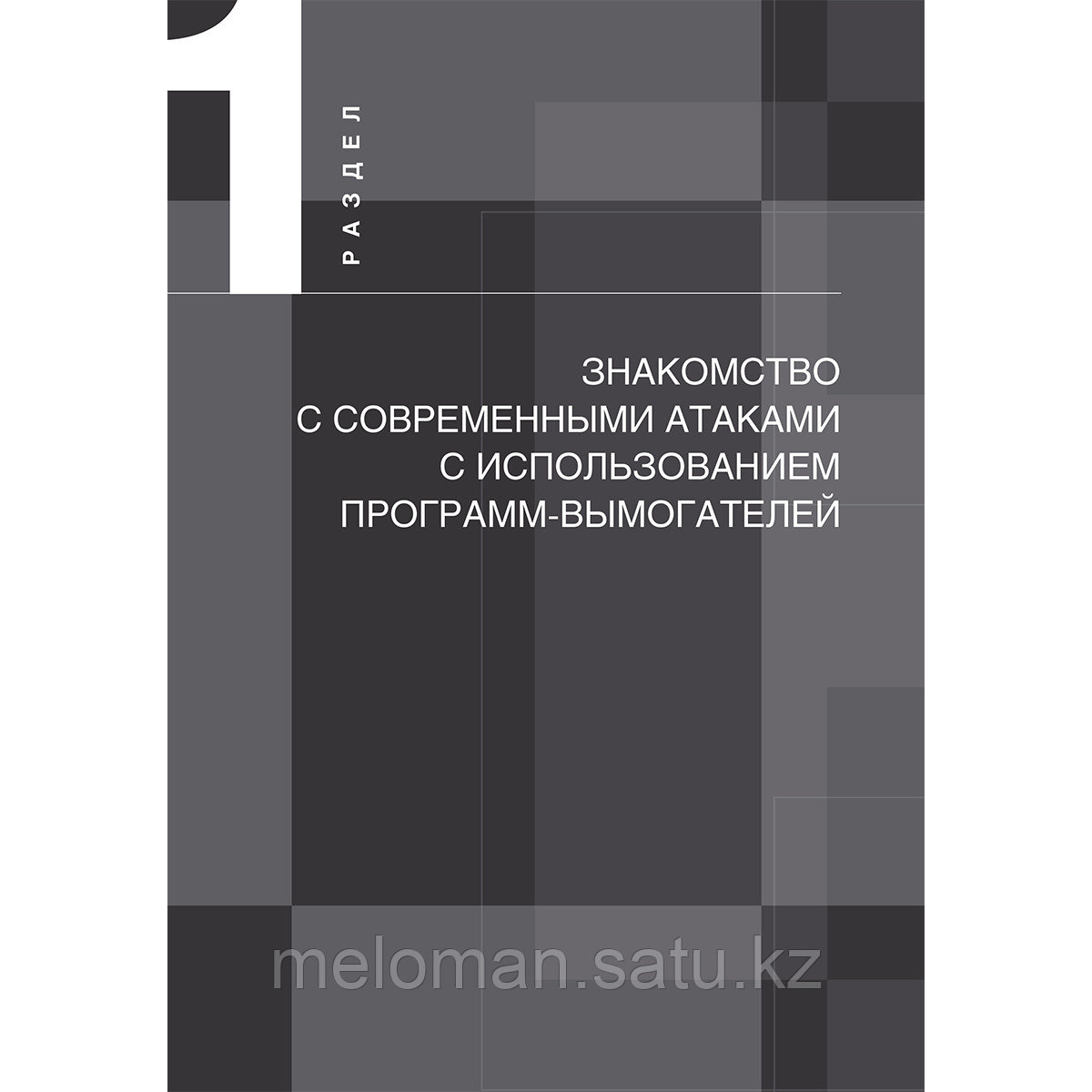 Скулкин О.: Шифровальщики: Как реагировать на атаки с использованием программ-вымогателей - фото 9 - id-p114461152