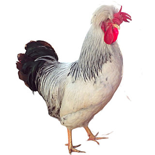 Смоленсктегі порно Менің пикап қызым аққұбамен секс