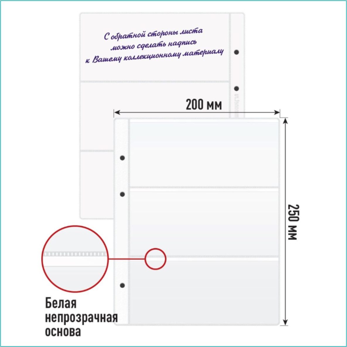 Набор листов для хранения банкнот (10 листов 3 ячейки) - фото 4 - id-p114516979