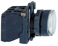 Кнопка 22 мм до 250В белая с подсветкой XB5AW3165