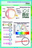 Плакаты Оптика и специальная теория относительности, фото 5