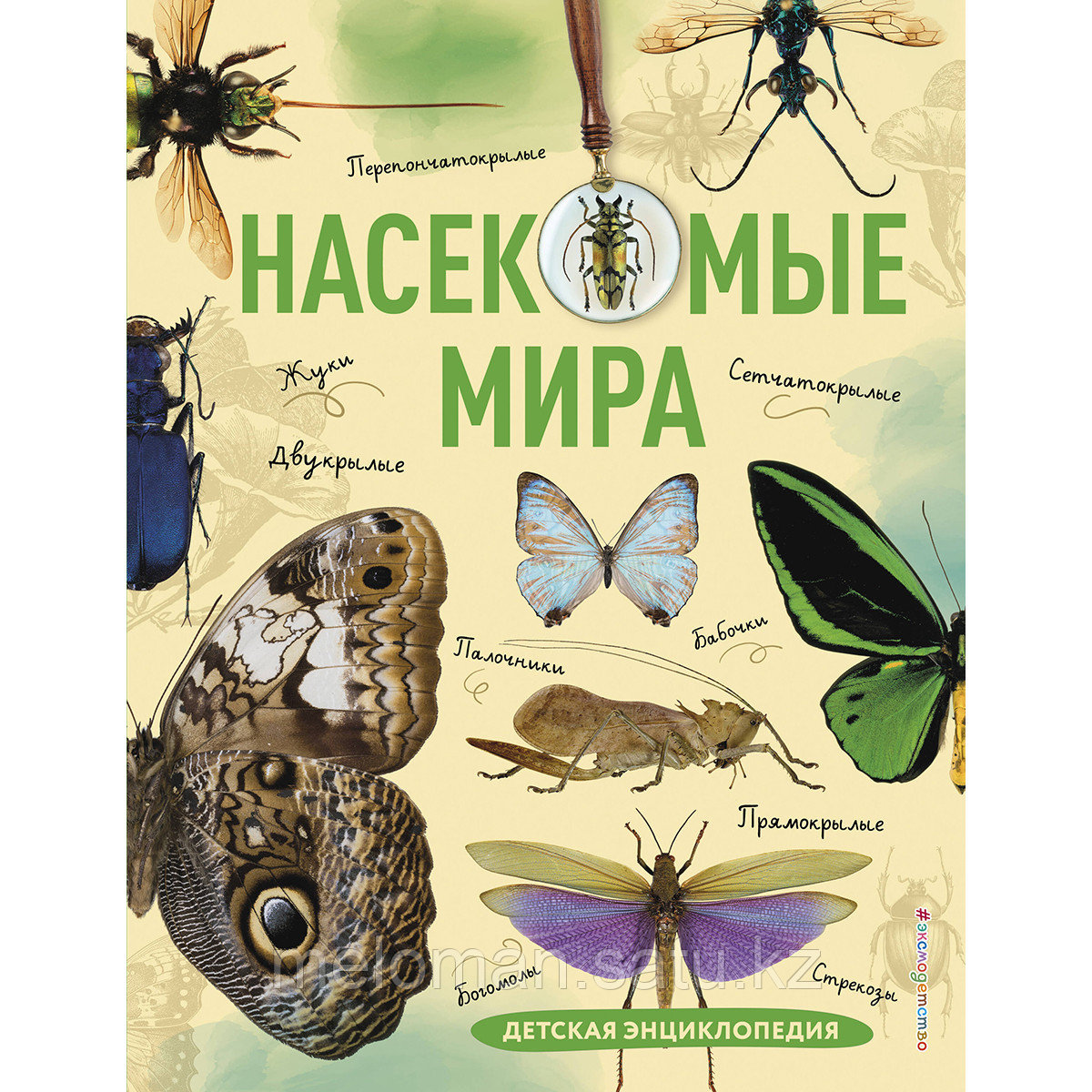 Сочивко А.: Насекомые мира. Детская энциклопедия - фото 1 - id-p114560195