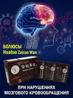 Болюсы Хуато ( HUATUO ZAIZAO WAN ) профилактически при нарушении мозгового кровообращения - фото 1 - id-p107781365