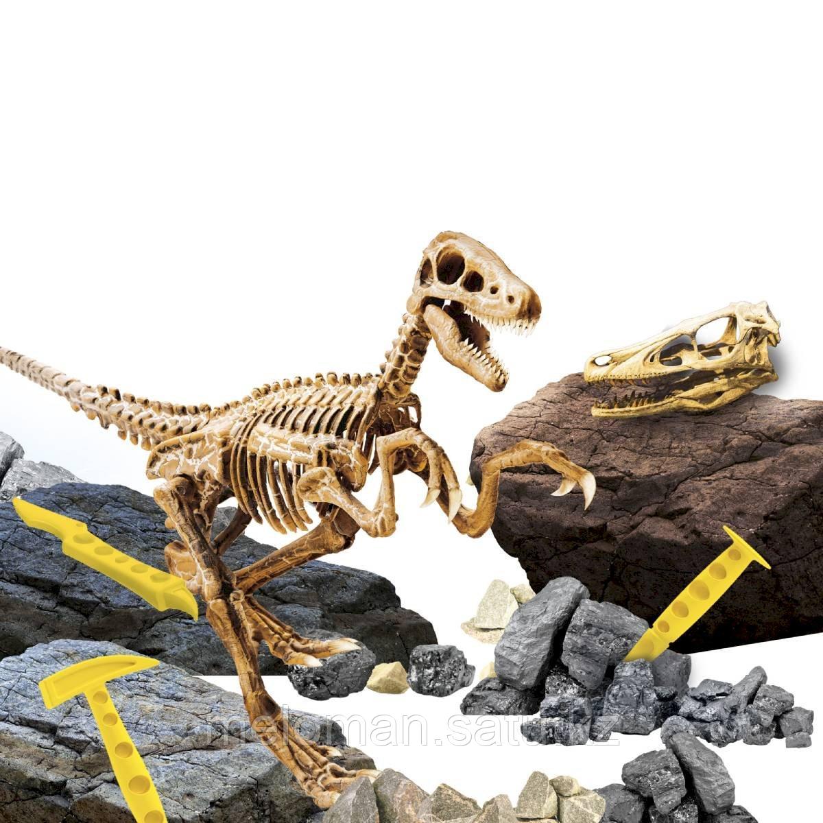 LISCIANI: Қазба жинағы - Velociraptor - фото 4 - id-p114612217