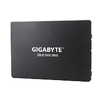Твердотельный накопитель SSD Gigabyte GP-GSTFS31256GTND (4719331804329) 256GB