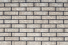 Берёза 0.7 НФ / 1 НФ