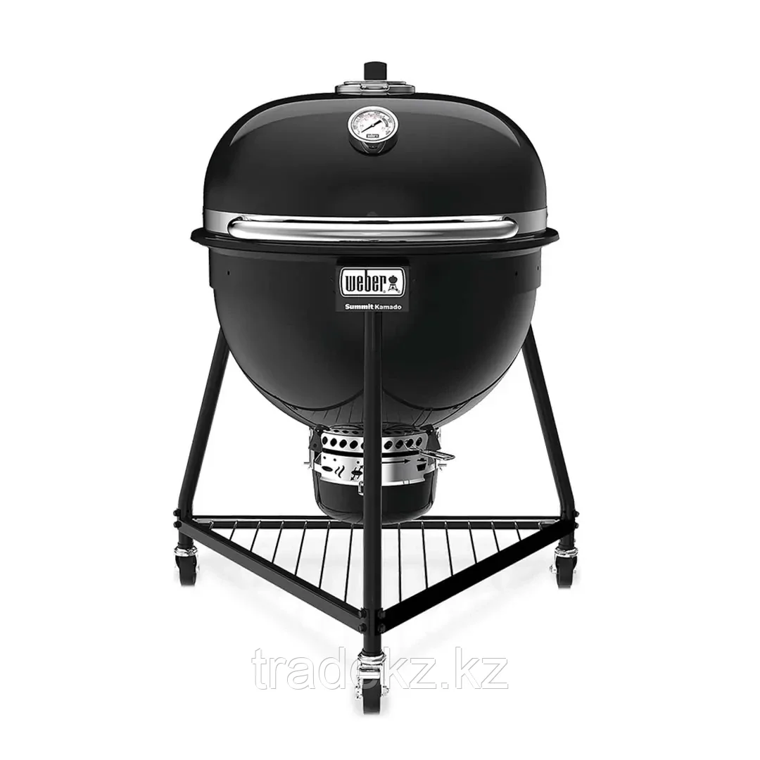 Summit Kamado E6 көмір грильі