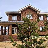 Терракот Бархат 1 НФ / 1 НФ ут.ст., фото 2