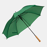 Автоматический зонт-трость LIMBO Зеленый