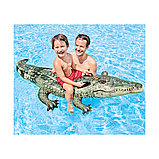Надувная игрушка Intex 57551NP в форме крокодила для плавания, фото 2