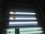 Светодиодная лампа т8 LED T8 9W G13 6000К /3000K 60см KE Group, фото 4