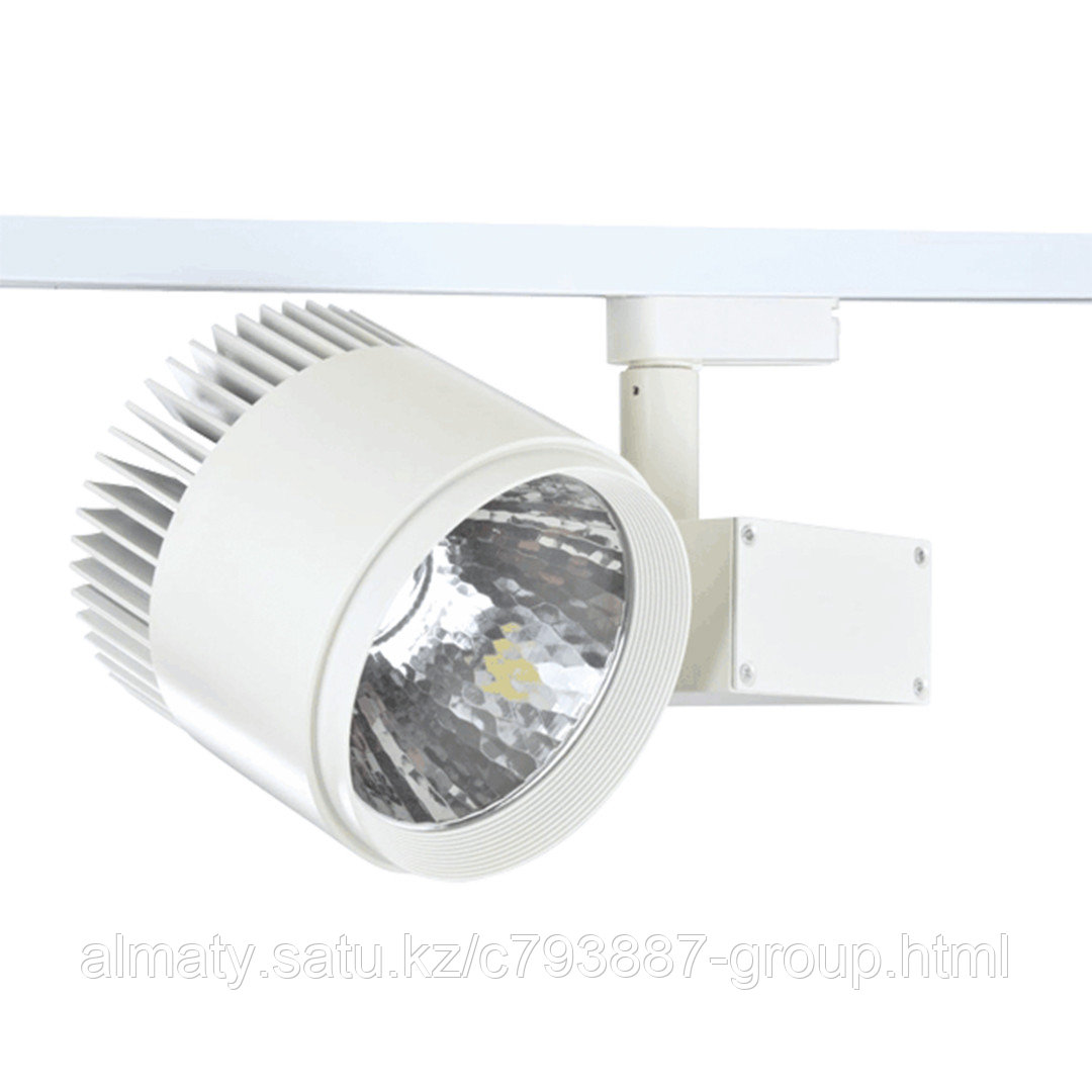 Поворотный светильник направленного освещения LED DK883 50W 4000K WHITE TRACK (TEKLED) KE Group - фото 1 - id-p114675356