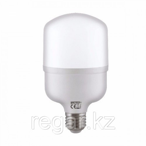 Лампа Светодиодная "TORCH-20" 20W 4200K E27 - фото 1 - id-p114716029