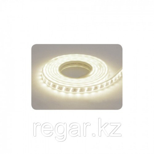 Лента светодиодная 081 009 0001 LED "GANJ" (220-240V) влагозащищенная 6400К - фото 5 - id-p114716874