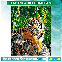 Картина по номерам "Бенгальский тигр" (40х50 без подрамника)
