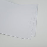 Альбом для рисования, 16 листов, (для Мальч., Для Девочек), фото 5