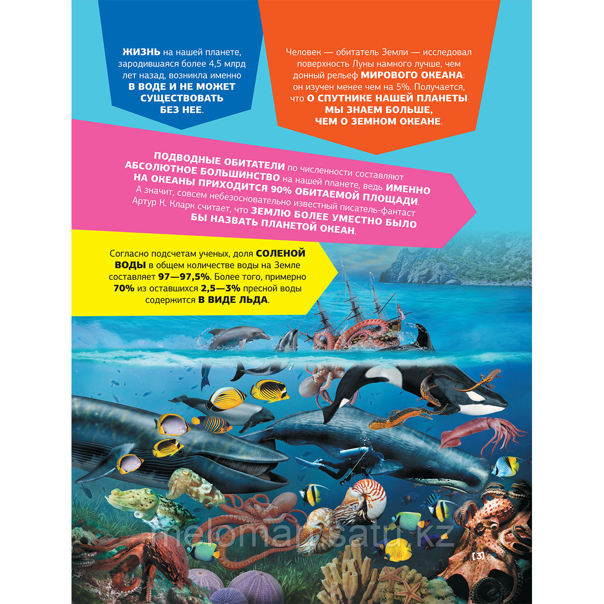 Большая энциклопедия о подводном мире. 500 фотографий и фактов - фото 3 - id-p114745003
