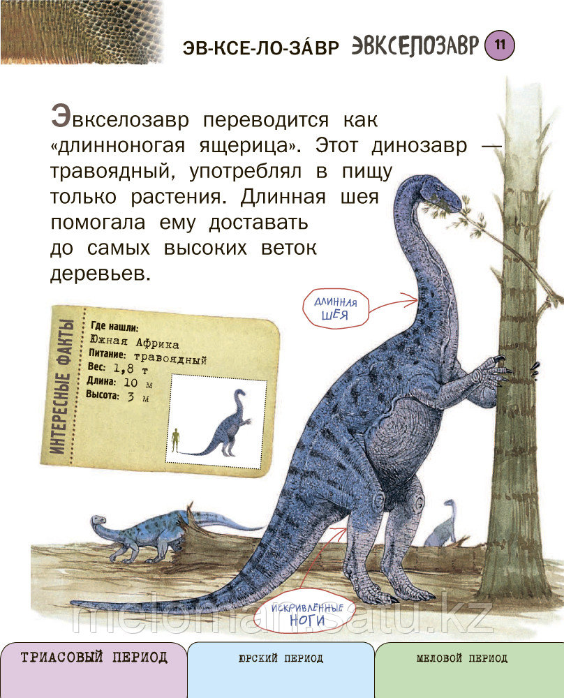 Ананьева Е. Г.: Все динозавры с крупными буквами - фото 10 - id-p61847085