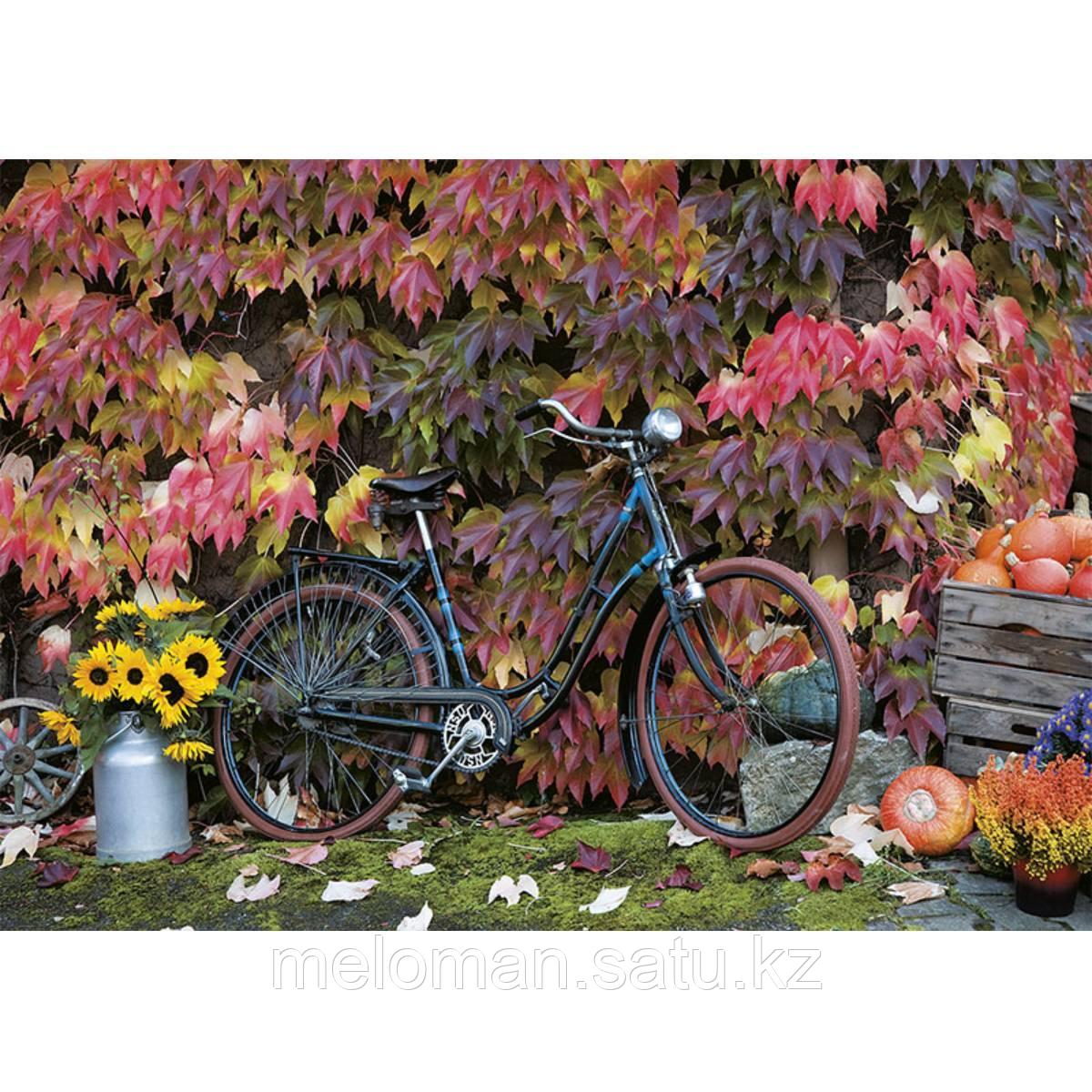 Piatnik: Пазлы Осень и велосипед, 1000 эл. - фото 2 - id-p113872805