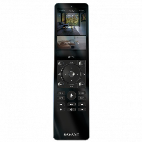 Savant REM-4000SGI-00 опция к телевизору (REM-4000SGI-00) - фото 2 - id-p114745788