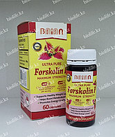 Forskohlin P Форсколин П 60 капсул для похудения